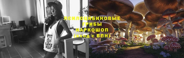 гидропоника Балабаново