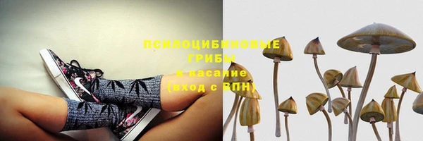 прущие крисы Алзамай