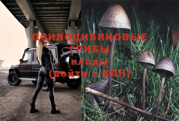 гидропоника Балабаново